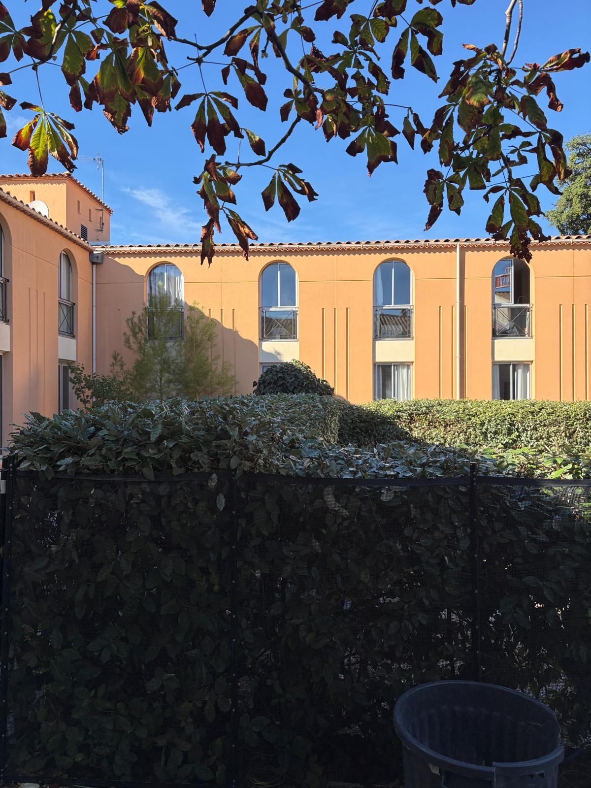 l’Hôtel Le Clos de l’Aube Rouge à Castelnau-le-Lez : Entretien des haies à Castelnau-le-Lez — photo 3